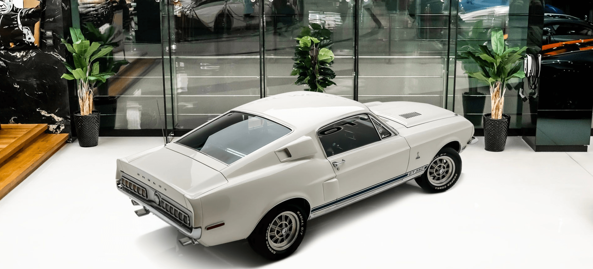 Car Gallery Image