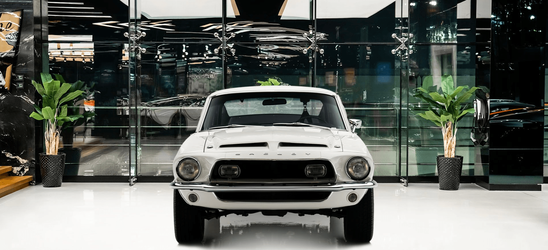 Car Gallery Image