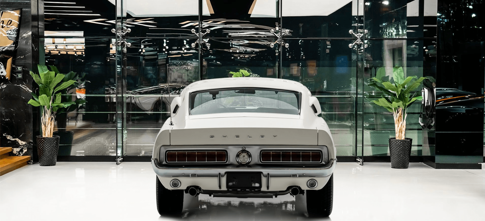 Car Gallery Image